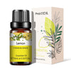 10ml Lavender & Aromatherapy Essential Oil