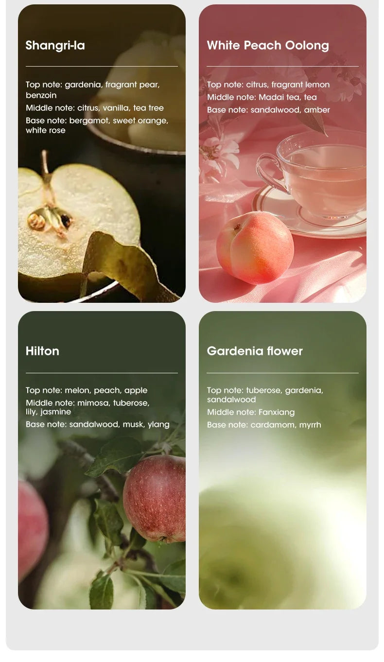 Automatic Digital Air Fragrance Diffuser